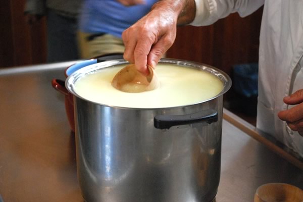 The art of making a cheese